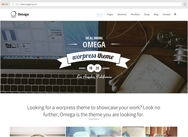 Omega WordPress Docs