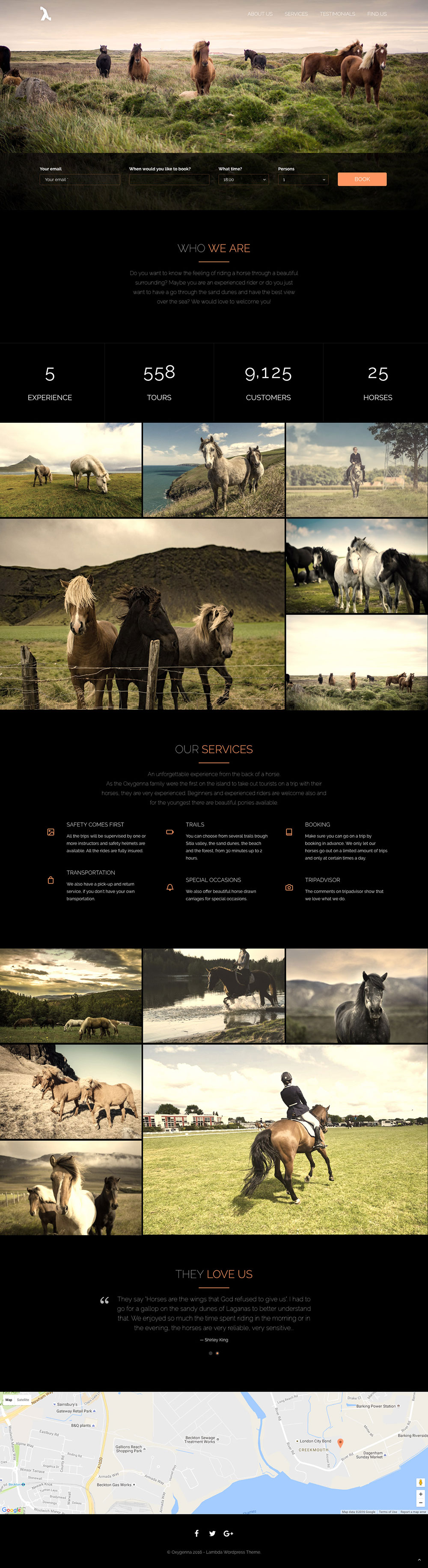 Horse Riding for WordPress